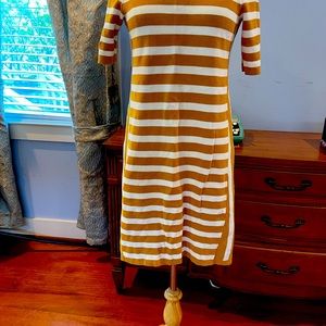 Ann Taylor knit dress